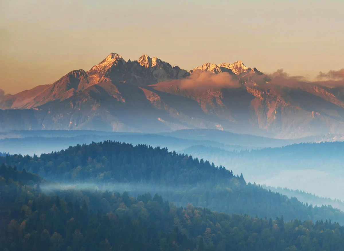 Nowe dane jak ulepszyć marketing