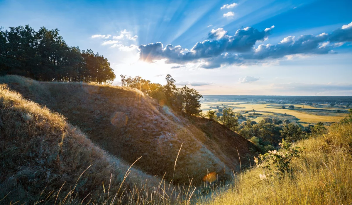Porównanie usług OKIR i MOHU: zakres, ceny, jak wybrać najlepszą ofertę dla firmy i instytucji