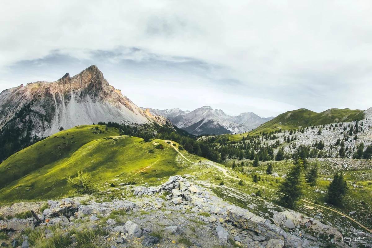 Dobre rady jak reklamować