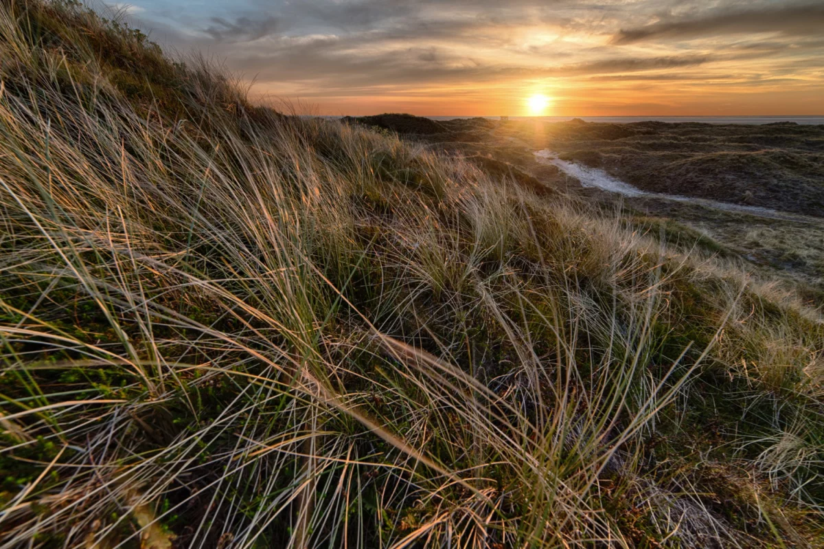 2024 dobrym czasem aby  wyposażyć dom