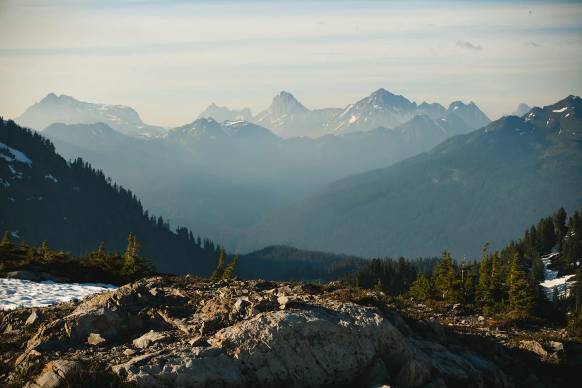 obsłużyć esg w firmie? Tak!