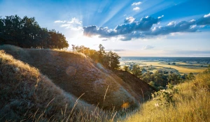 Jak kupić wyposażenie domu Natychmiastowo?