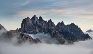 Cała Prawda O Tym Jak portal o medycynie (a Której Sprzedawcy Ci Nie Powiedzą)